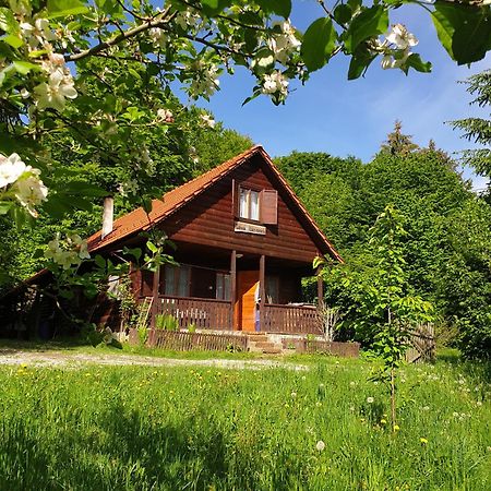 Вілла Casa Lacramioara Симбета-де-Сус Екстер'єр фото