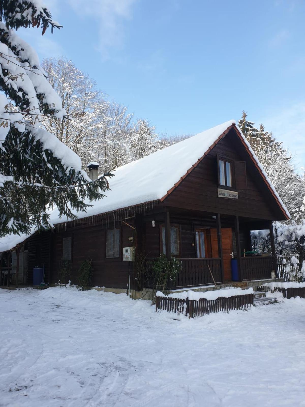 Casa Lacramioara Симбета-де-Сус Екстер'єр фото