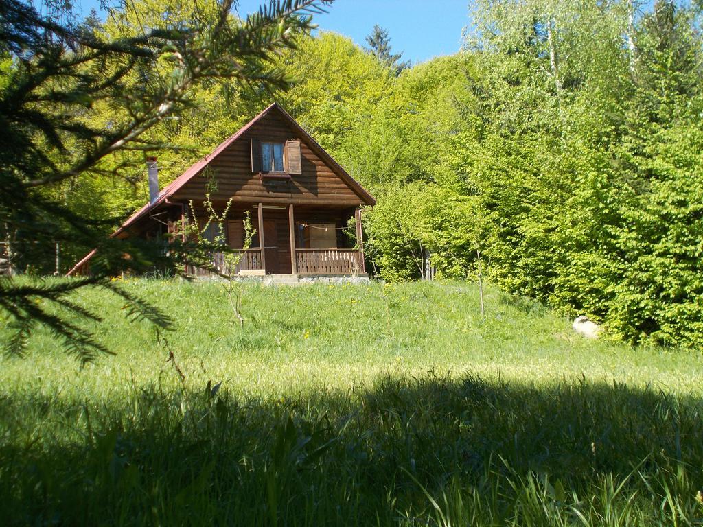 Casa Lacramioara Симбета-де-Сус Екстер'єр фото