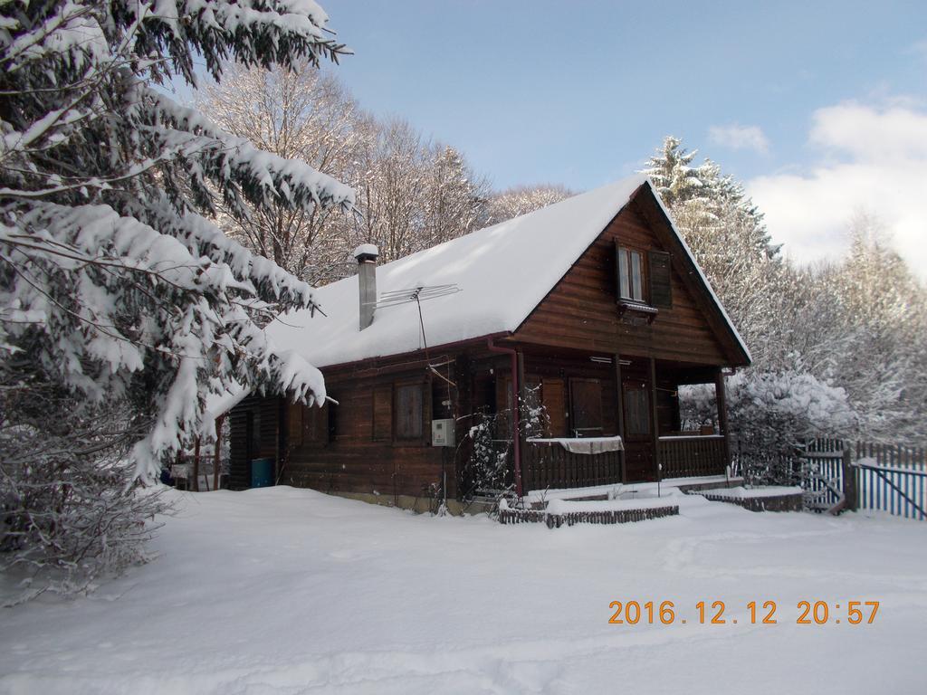 Вілла Casa Lacramioara Симбета-де-Сус Екстер'єр фото